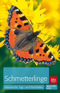 Schmetterlinge