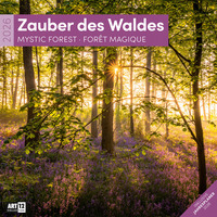 Zauber des Waldes Broschürenkalender 2026 - 30x30 - Art12