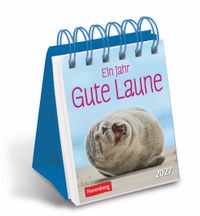 Ein Jahr gute Laune Mini-Geschenkkalender 2027