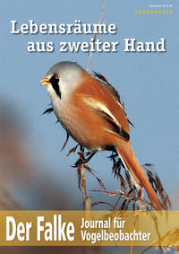 Lebensräume aus zweiter Hand