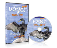 Vögel digital
