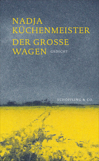 Der Große Wagen