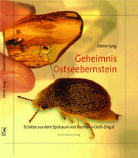Geheimnis Ostseebernstein