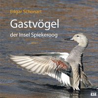 Gastvögel der Insel Spiekeroog