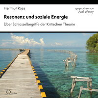 Resonanz und soziale Energie