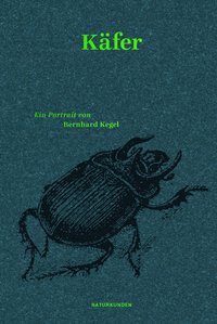 Käfer