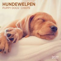 Hundewelpen / Puppy Dogs 2027