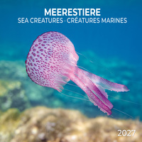 Meerestiere / Sea Creatures 2027