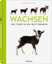 Wachsen