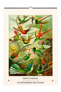 Ernst Haeckel. Kunstformen der Natur. Wandkalender 2027