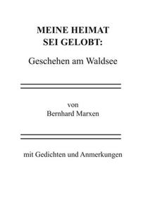Meine Heimat sei gelobt: Geschehen am Waldsee
