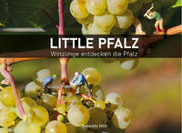 Little Pfalz