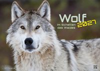 Wolf – Im Schatten des Waldes - 2027 - Kalender DIN A2