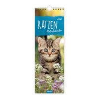 TRÖTSCH - Streifenkalender Katzen 2027 Notizkalender