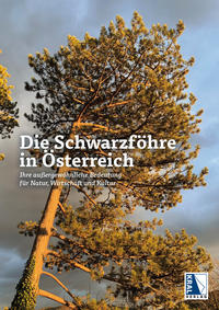 Die Schwarzföhre in Österreich