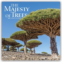 The Majesty of Trees – Die Erhabenheit der Bäume 2027 – 16-Monatskalender